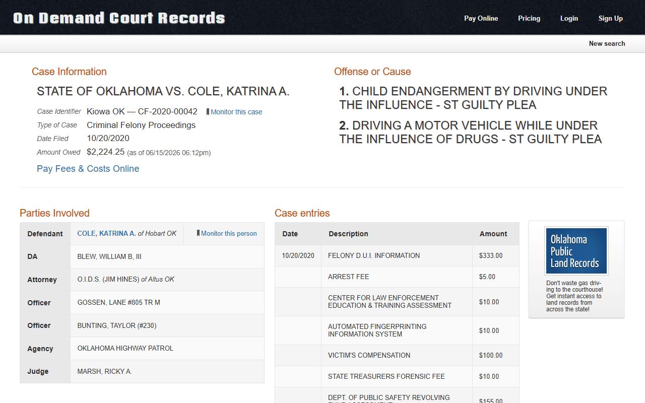 Kiowa County court dockets DUI-related sample case with offense lines